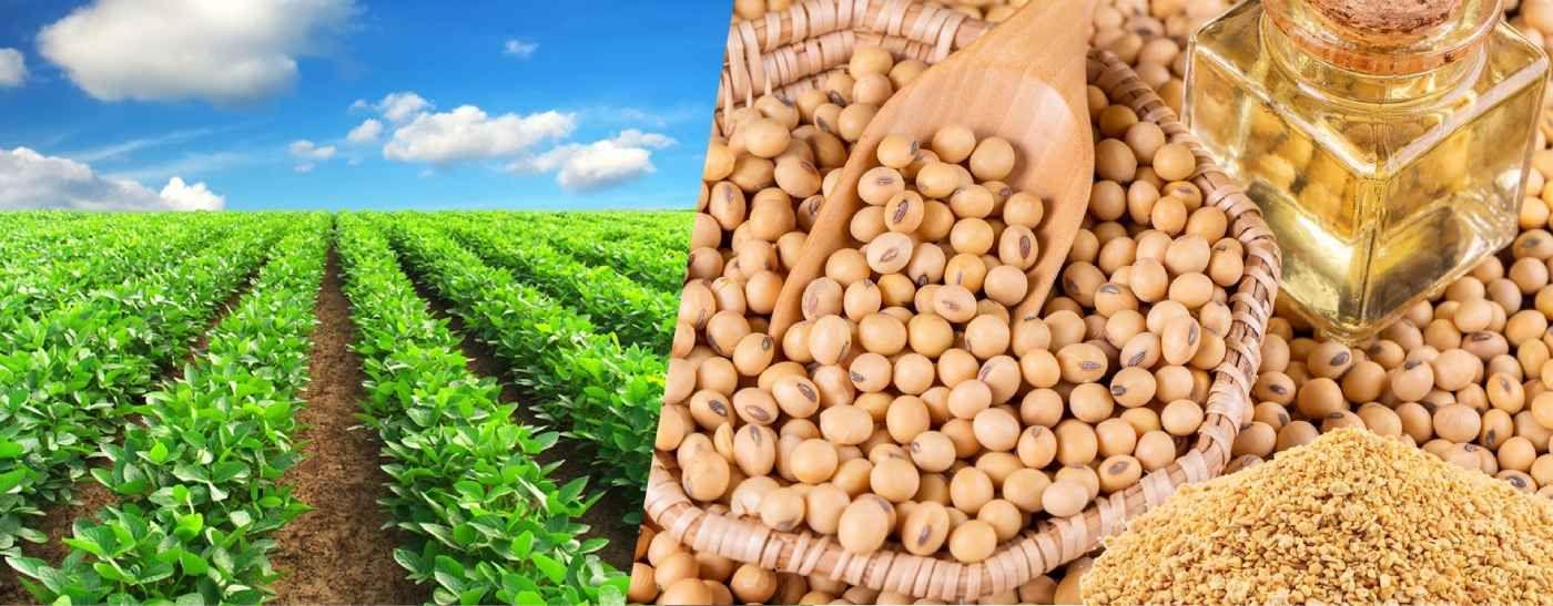 🌱 Start Your Soya Product Business in ₹10 Lakh Under MMUY – Powered by StartupHyper, Bihar’s No.1 Machinery Partner!