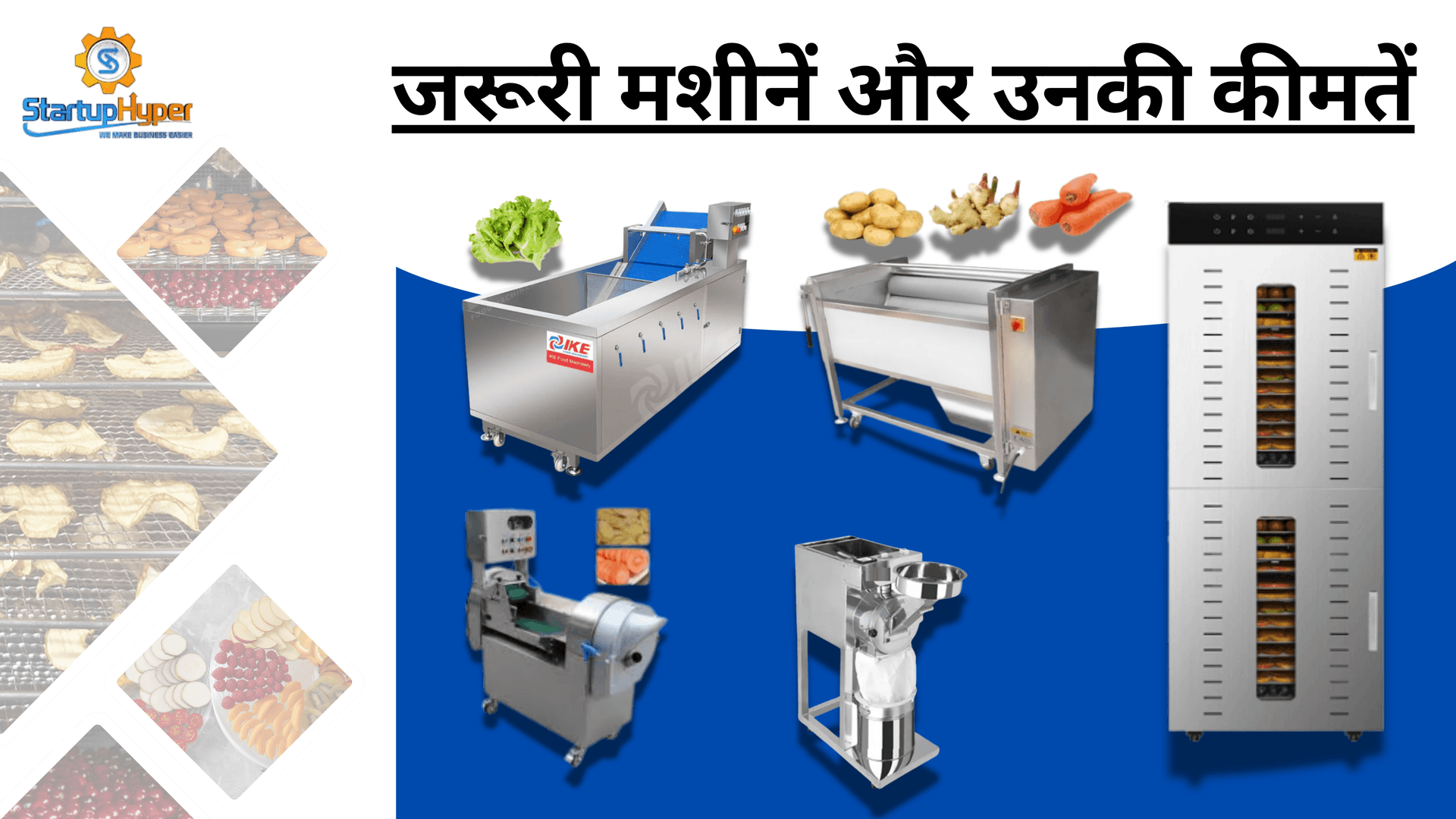 Pyaj Powder प्याज पाउडर का बिज़नेस कैसे शुरू करें? ₹5 लाख निवेश में ₹1 लाख महीना ...